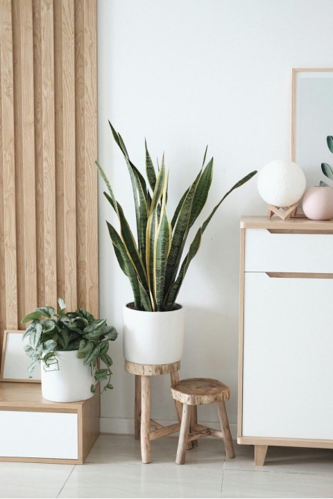 Sustainable finishes
